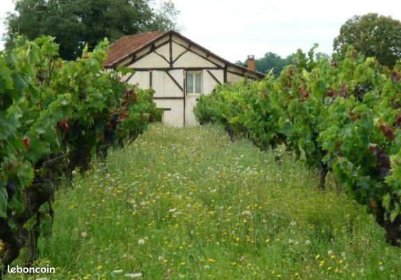 Gîte avec piscine Périgord Pourpre (Dordogne) (image 1)
