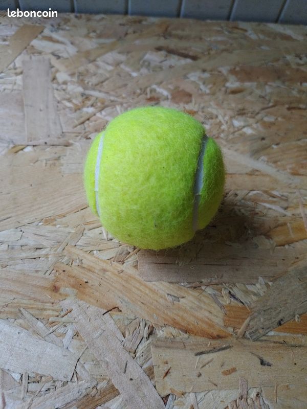 Lot D'objets Anciens De Tennis - Balles Et Raquette Vintage - Collection Sport