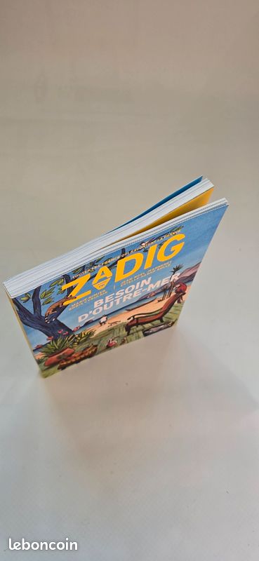 ZADIG N °06 - Besoin d’Outre-Mer (image 4)