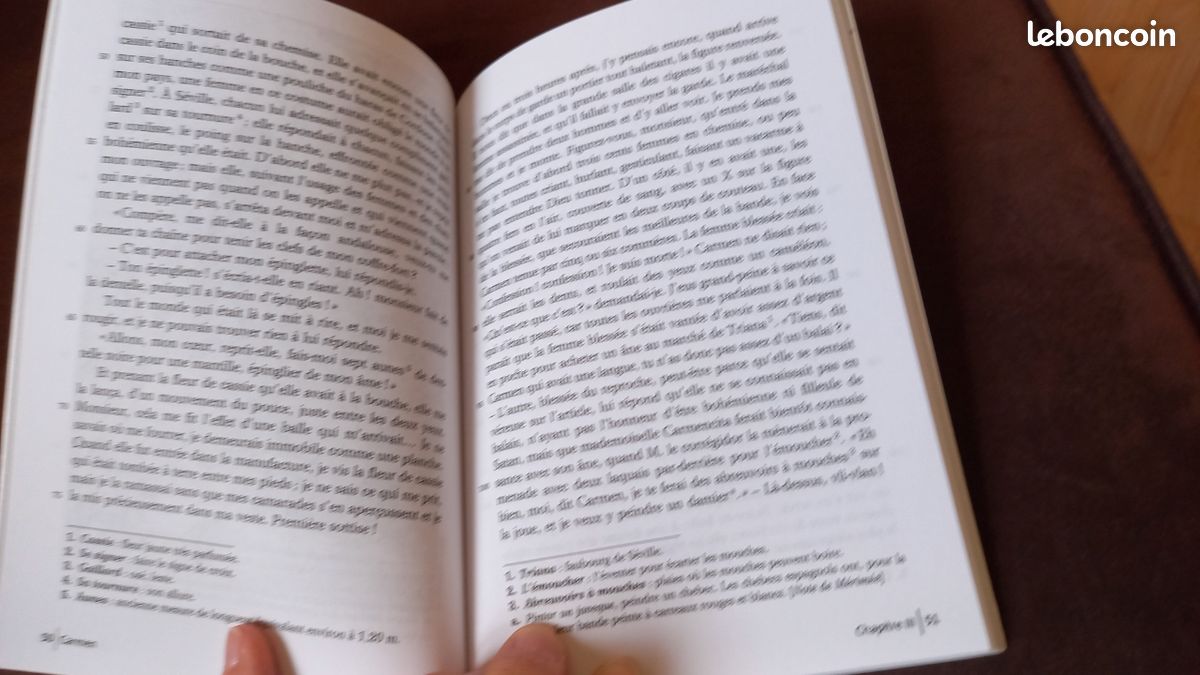 Livre Carmen (image 3)