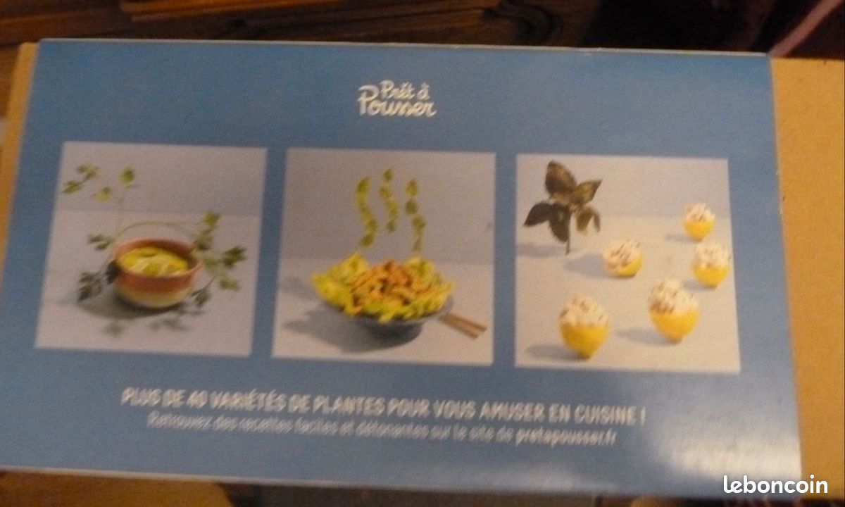 Jardin d'intérieur PRET A POUSSER LILO (image 2)