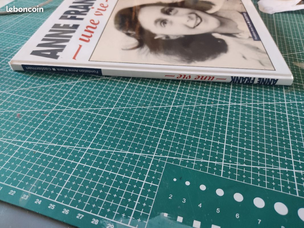 Anne Frank une vie édition Fondation Anne Frank_Casterman (image 5)