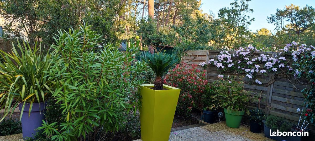 Studio Centre Naturiste d'EURONAT (image 2)