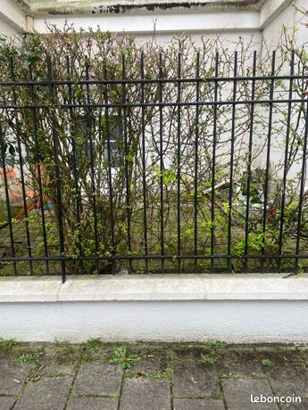 Studio 1 pièce 17 m²