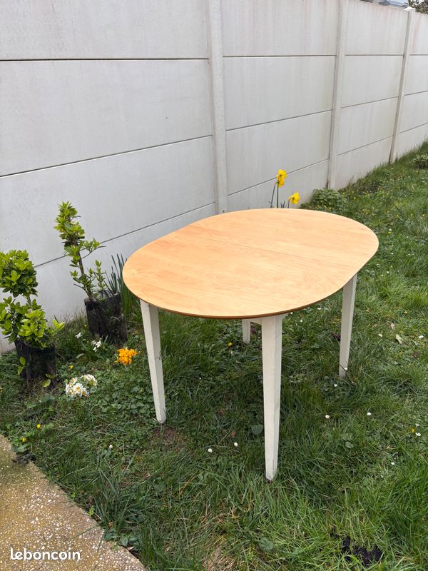 Table +rallonges (image 5)