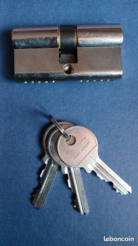 Cylindre de porte 30x30 Vachette ASSA ABLOY (image 6)