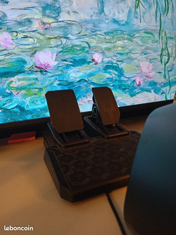 Volant THRUSTMASTER - Très BON ETAT (image 3)