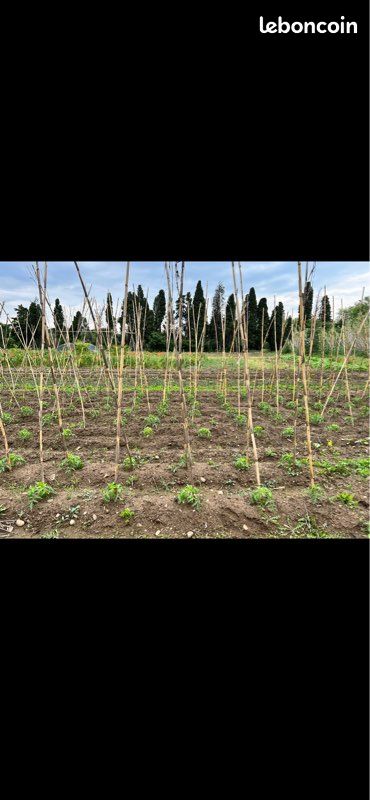 Terrain loisirs · à Le Soler · 35 000 €