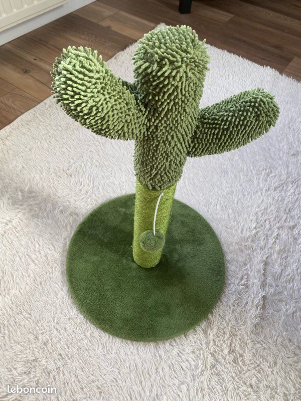 Griffoir cactus pour chat - Accessoires animaux