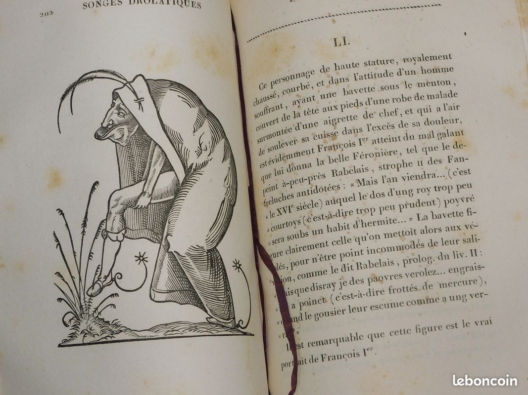 OEUVRES DE RABELAIS EN NEUF VOLUMES, Dalibon 1823 belles reliures gravures Pantagruel Gargantua contes drôlatiques Renaissance (image 13)
