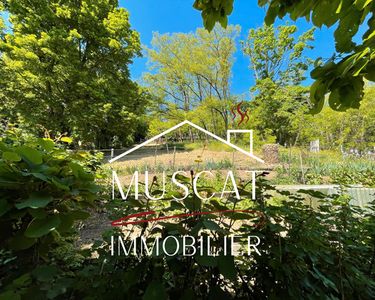 Maison 520 000 € - 91 m²