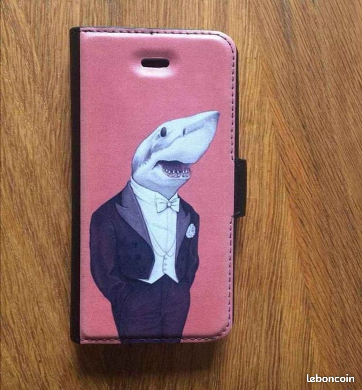 Coque Porte-cartes iPhone 5s (image 1)