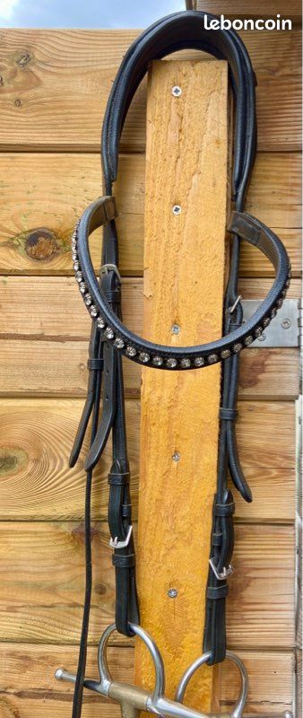 Bridon cheval (image 2)