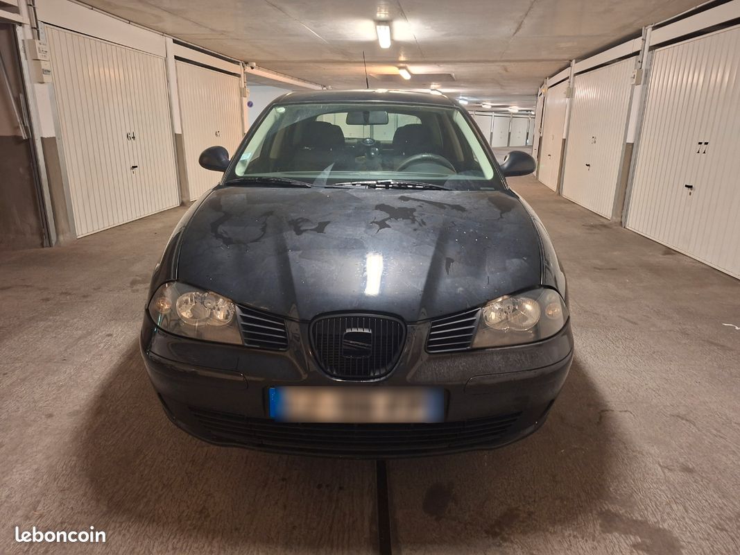 Seat Ibiza (image 1)