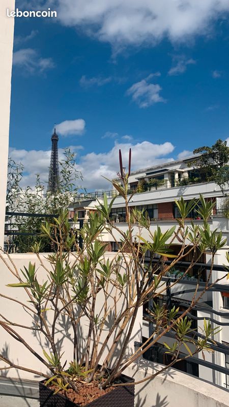 T3 Duplex champs de mars terrasse vue Tour Eiffel (image 1)