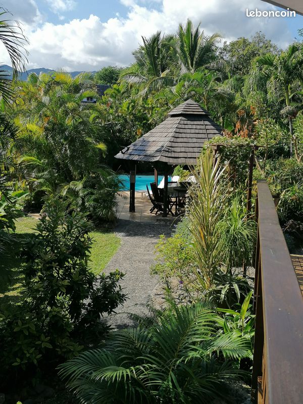 Chalet tillandsia (image 3)