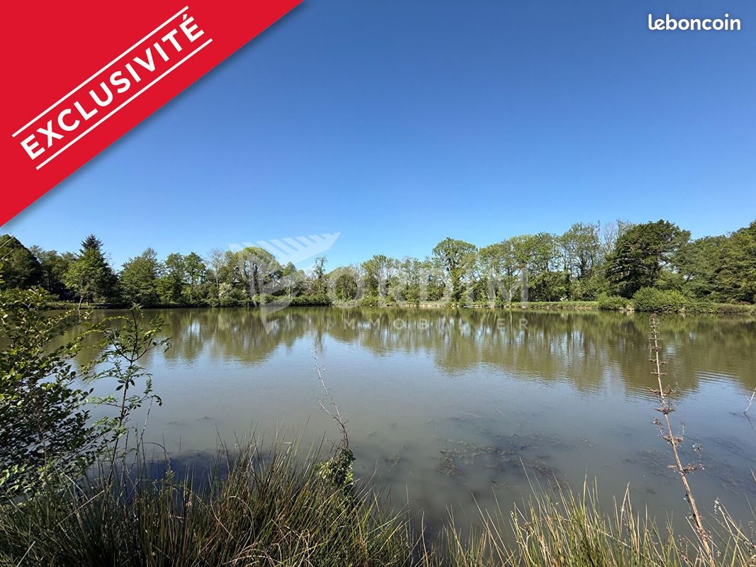 Terrain 20000 m² · à Saint-Fargeau · 20 000 m² · 154 000 €
