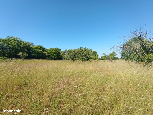 Terrain 3 000 m² Coulonges