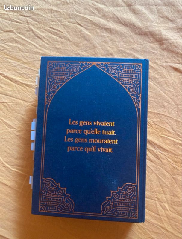 Chasseur de Flammes- Hafsah Faizal (entièrement annoté) (image 4)