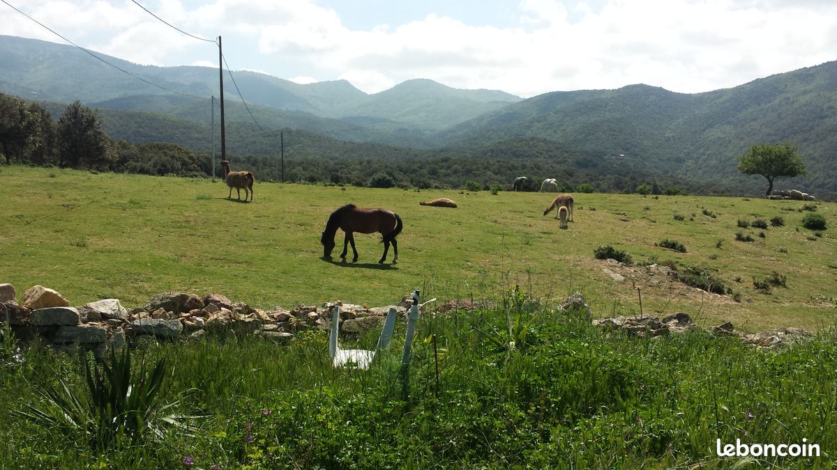Gite en pleine campagne (image 3)