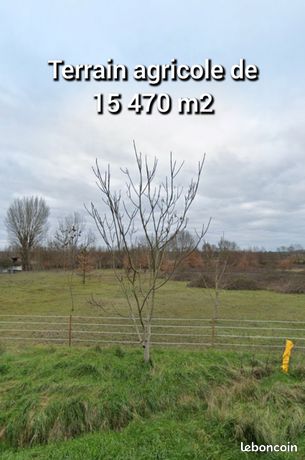 📢Terrain agricole 15 470m2 zone naturel