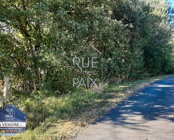 Terrain 1920 m² LEIGNE SUR USSEAU