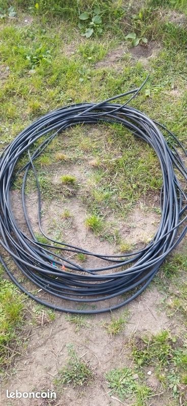 Câble électrique (image 1)
