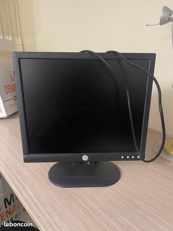 Écran professionnel Dell Pro 19 P1917S
