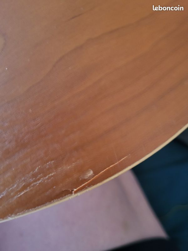 Guitare Norman B20 (image 3)