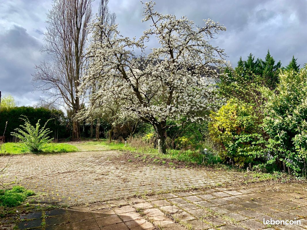 Terrain 1 pièce 687 m² · à Eckbolsheim · 687 m² · 197 600 €