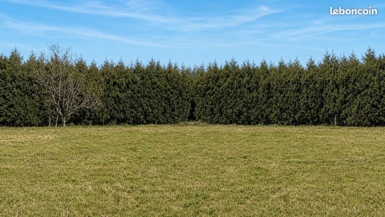 Terrain 663 m² Massieux