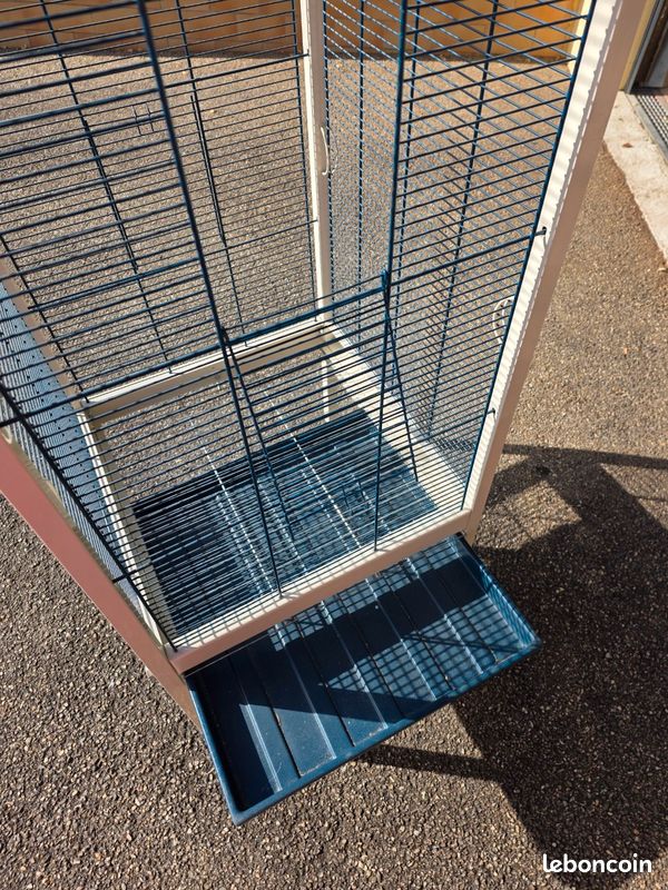 Cage oiseaux (image 2)