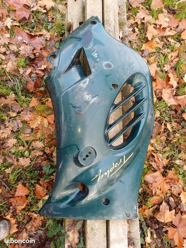 Flanc Triumph trophy (image 1)