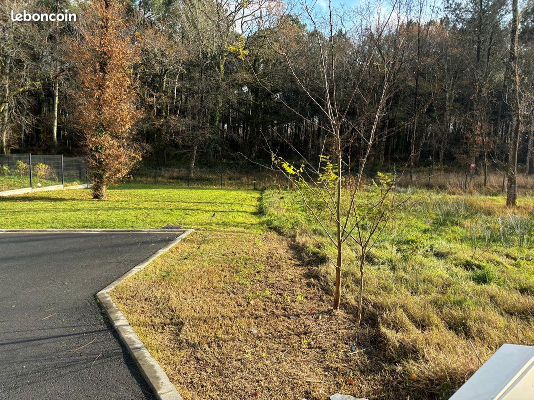 Terrain 730 m² · à Saucats · 200 000 €