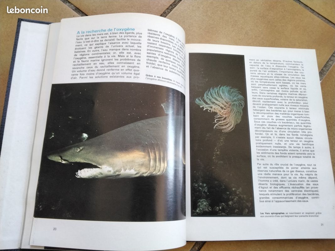 Encyclopédie Cousteau (image 3)