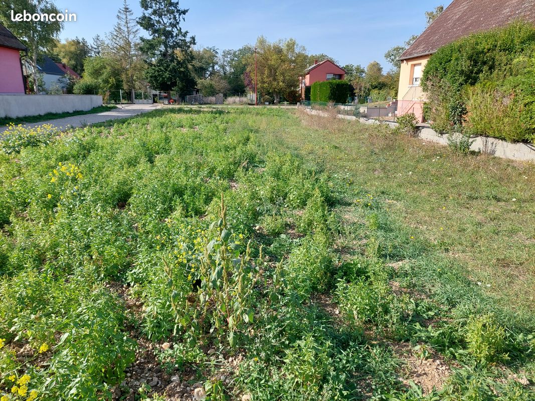 Terrain viabilise 740 m² · à Oberhergheim · 163 000 €