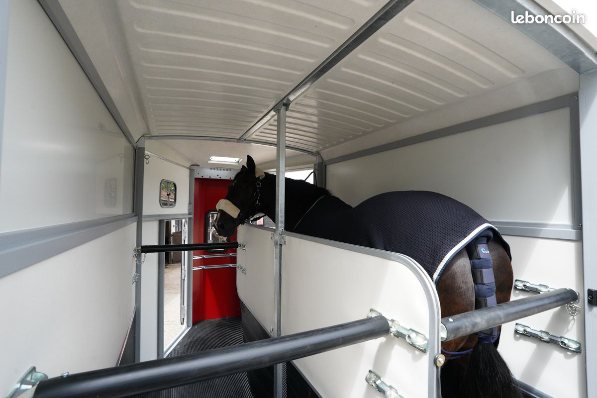 Ifor WILLIAMS HB511 "grand chevaux" DISPONIBLE (image 8)