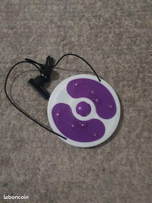 Disque de torsion portable (image 2)