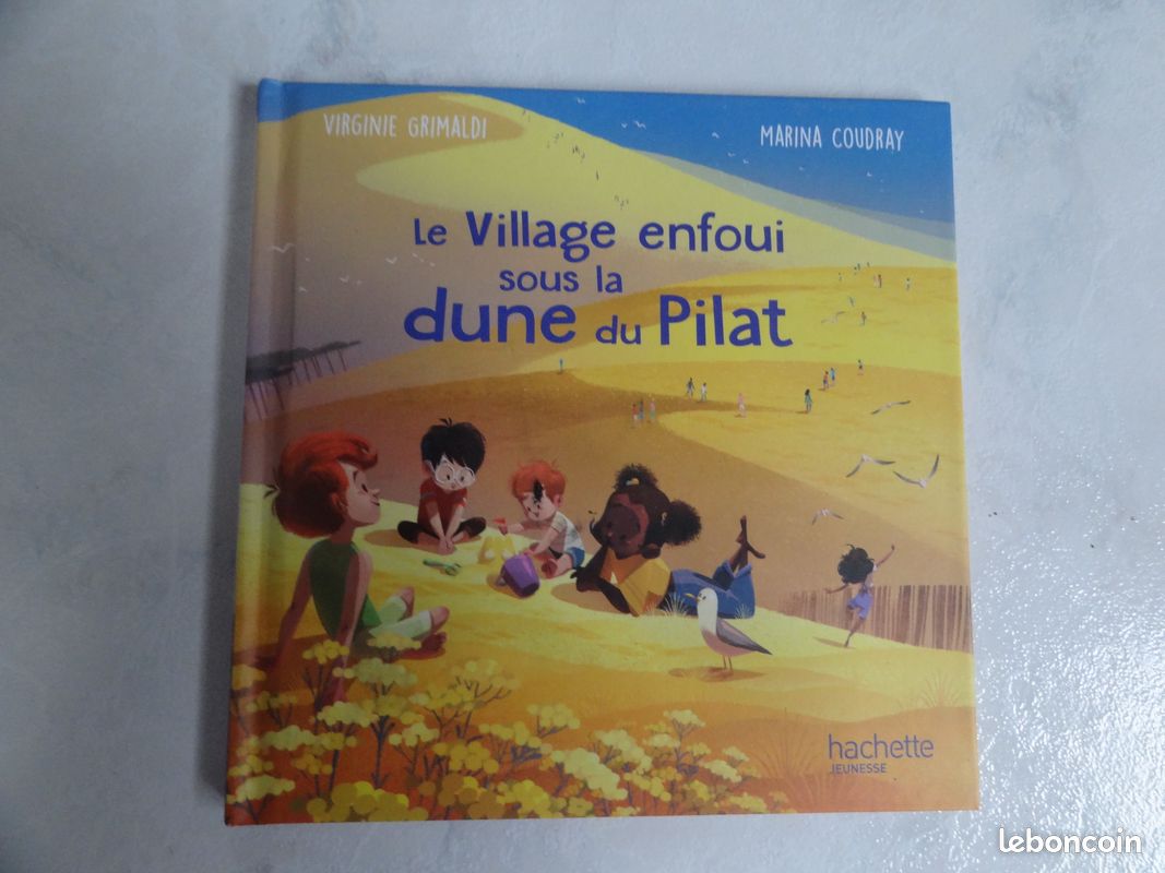 Livre le village enfoui sous la dune de pilat (image 1)
