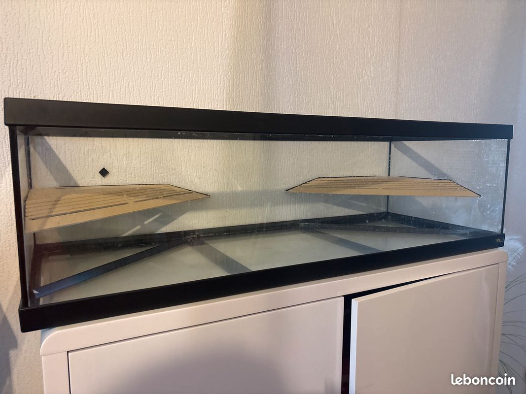 Aquarium terrarium (image 1)