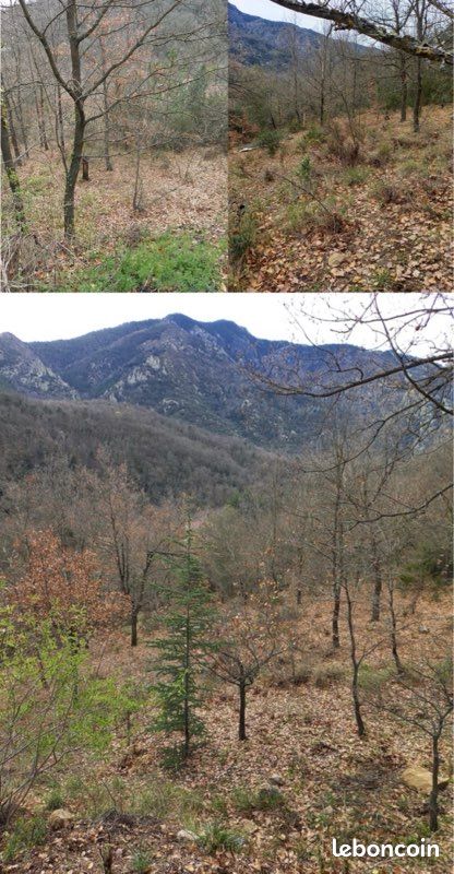 Terrain 4000m2 à vendre · à Clara-Villerach · 40 000 €