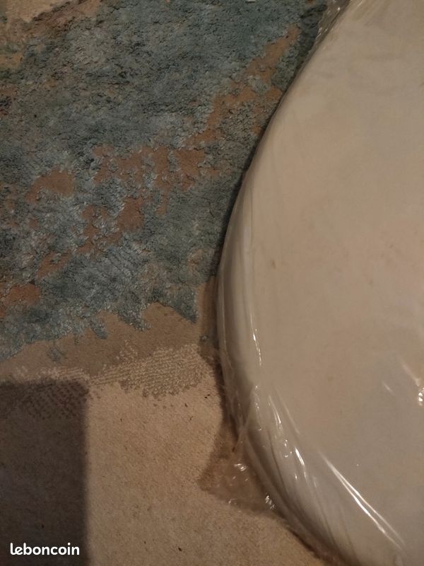 Cuvette de toilette (image 5)