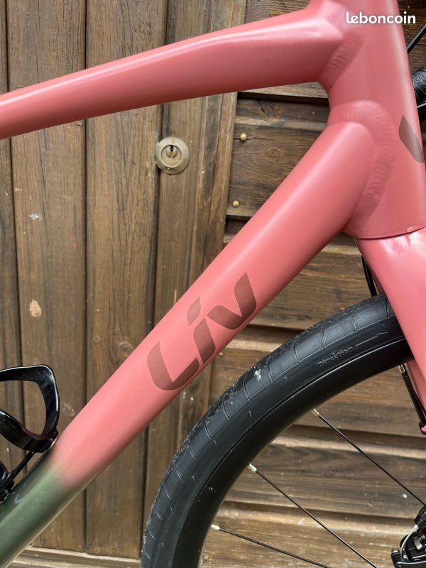 Liv Velo Cross Femme Vélo Route Femme Carbone Liv Enviliv Taille S