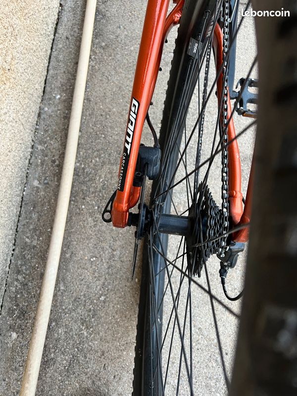 Velo giant (image 4)