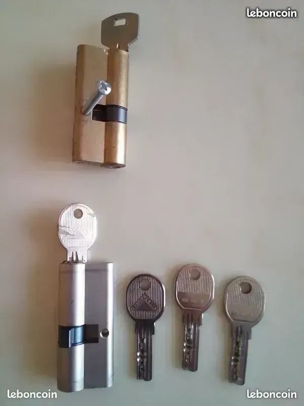 2 barillets serrure (image 1)