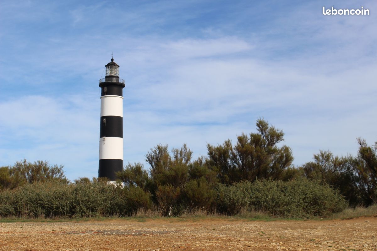 Charmante Maison 50 m² à louer proche plage Ile d'Oléron (image 10)