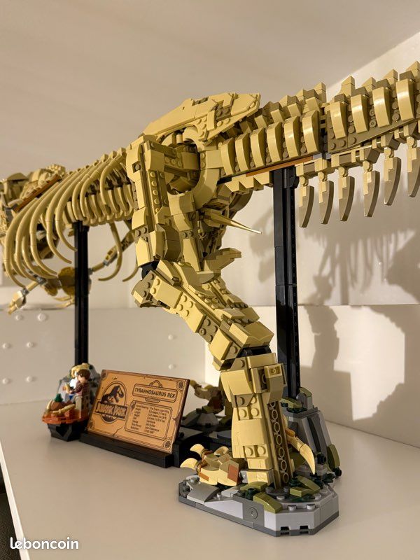 Jeu de construction en mousse: T-Rex et Triceratops - Jeux et jouets
