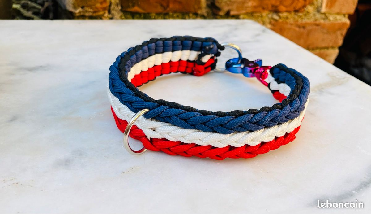 Chien Collier Corde Unique (image 1)