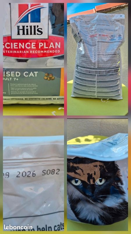 Gamelle chat avec croquettes - URGENT (image 3)