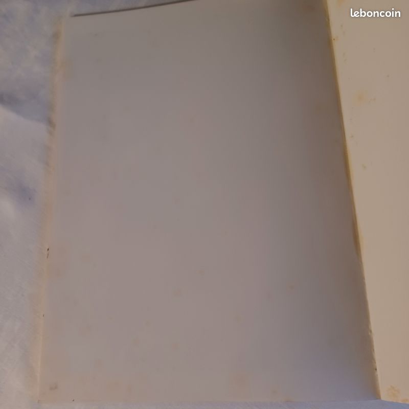 Lot de 2 bds de Loro T1/T2 Thorkaël (image 12)